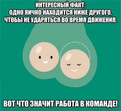1462182692_uletnye-komiksy3_xaxa-net.ru.jpg